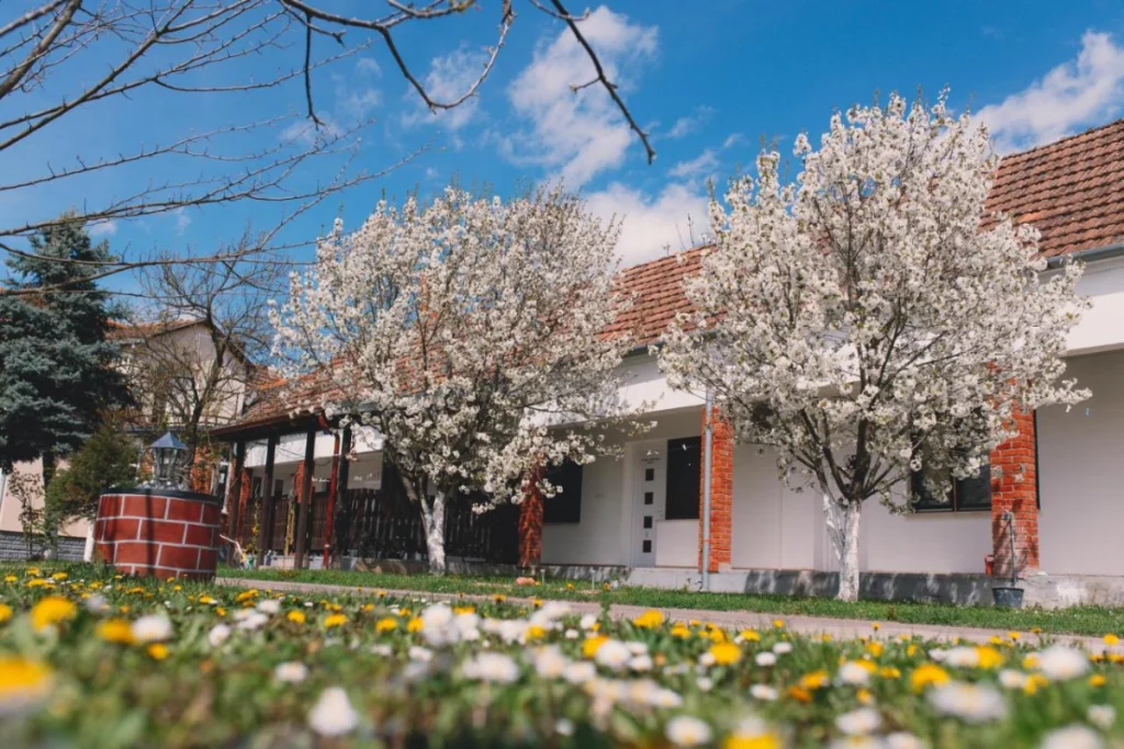Apartmani Gradište